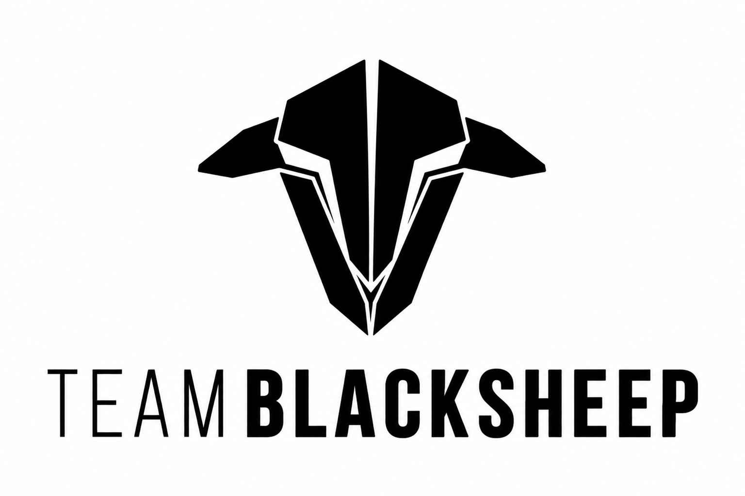 Brand logo of TBS